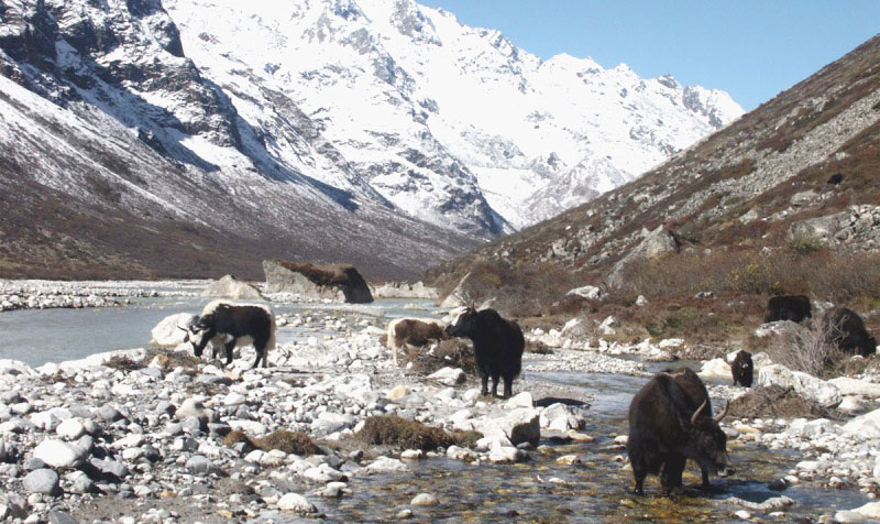 langtang-national-park