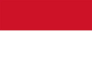 Top chefs from the Asia Pacific region