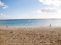 Filename=apartment_le_grenadier_mauritius_seaside_view.jpg
Filesize=151KiB
Dimensions=800x600
Date added=Jun 05, 2008 apartment_le_grenadier_mauritius_seaside_view.jpg