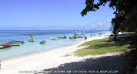 Filename=beach_villa_hibiscus_mauritius_beach_view.jpg
Filesize=109KiB
Dimensions=800x435
Date added=Jun 25, 2008 beach_villa_hibiscus_mauritius_beach_view.jpg
