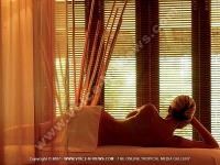 Filename=beau_rivage_hotel_maritius_lady_in_spa_massage_room.jpg
Filesize=194KiB
Dimensions=800x600
Date added=Aug 18, 2008 beau_rivage_hotel_maritius_lady_in_spa_massage_room.jpg