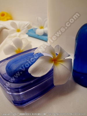 island_spice_catamaran_bathroom_deco.jpg