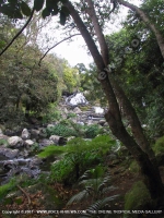 Filename=fandia_mauritius.jpg
Filesize=185KiB
Dimensions=600x800
Date added=Jul 18, 2008 fandia_mauritius.jpg
