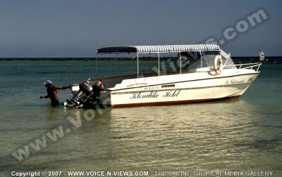 2 star hotel klondike hotel diving center boat
Diving is one of the activities offered at the 2*Klondike Hotel.
Keywords: 2*diving boat, sea,