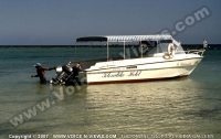 Filename=2_star_hotel_klondike_hotel_diving_center_boat.jpg
Filesize=79KiB
Dimensions=800x504
Date added=May 21, 2007 2_star_hotel_klondike_hotel_diving_center_boat.jpg