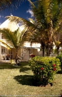 Filename=2_star_hotel_klondike_hotel_garden_view_with_palm_trees.jpg
Filesize=161KiB
Dimensions=512x800
Date added=May 21, 2007 2_star_hotel_klondike_hotel_garden_view_with_palm_trees.jpg