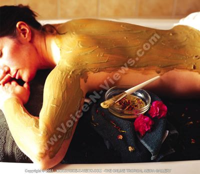 3 star hotel le palmiste hotel spa
The hotel's spa offers massages and mud therapy. 
Keywords: Le Palmiste Resort & Spa, mud therapy, massages,
