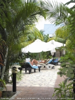 Filename=2_star_hotel_le_palmiste_hotel_mauritius_guests_relaxing_in_sunbed_near_the_pool.jpg
Filesize=222KiB
Dimensions=600x800
Date added=Mar 25, 2009 2_star_hotel_le_palmiste_hotel_mauritius_guests_relaxing_in_sunbed_near_the_pool.jpg