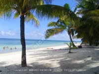 Filename=general_view_of_the_beach_of_palmiste_resort_and_spa.jpg
Filesize=142KiB
Dimensions=800x600
Date added=Aug 04, 2010 general_view_of_the_beach_of_palmiste_resort_and_spa.jpg