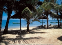 Filename=2_star_hotel_les_cocotiers_hotel_beach.jpg
Filesize=177KiB
Dimensions=800x587
Date added=Jun 11, 2007 2_star_hotel_les_cocotiers_hotel_beach.jpg