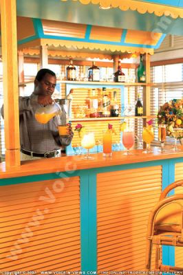 3 star calodyne sur mer hotel barman at work
At the Calodyne Hotel 'Waves Melody Bar' where the barman is at work preparing delicious drinks. Different fruit juices and cocktails are served here.
Keywords: Calodyne Sur Mer Hotel, waves melody bar, drinks, cocktails, juices, barman, fruit, pineapple, chair, glasses