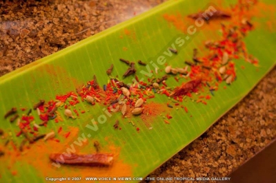 laguna beach hotel and spa mauritius spices
