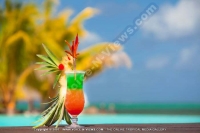 Filename=laguna_beach_hotel_and_spa_mauritius_cocktail.jpg
Filesize=43KiB
Dimensions=700x466
Date added=Jun 24, 2011 laguna_beach_hotel_and_spa_mauritius_cocktail.jpg
