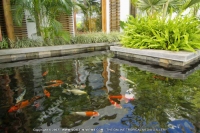 Filename=laguna_beach_hotel_and_spa_mauritius_fish.jpg
Filesize=94KiB
Dimensions=700x468
Date added=Jun 24, 2011 laguna_beach_hotel_and_spa_mauritius_fish.jpg