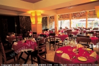 Filename=3_star_hotel_le_bougainville_hotel_restaurant.jpg
Filesize=128KiB
Dimensions=800x534
Date added=Jun 20, 2007 3_star_hotel_le_bougainville_hotel_restaurant.jpg