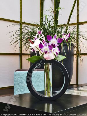 3 star the bay hotel orchide
