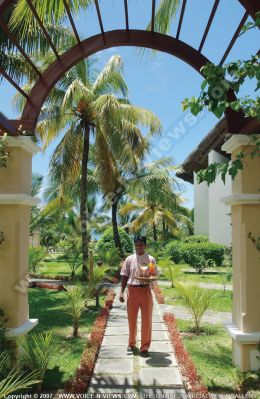 3 star veranda palmar beach hotel service
Cocktails being delivered by a waiter at the 3 star Veranda Palmar Beach Hotel. The path which the waiter is taking is surrounded by vegetation; palm trees, bushes, flowers.
Keywords: 3*hotel, service, waiter, palm trees, bushes, flowers