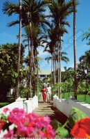 Filename=3_star_hotel_veranda_hotel_garden.jpg
Filesize=75KiB
Dimensions=350x537
Date added=May 23, 2007 3_star_hotel_veranda_hotel_garden.jpg