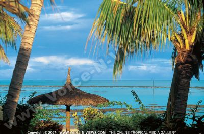 3 star hotel villa caroline hotel sea view
The sea view from the 3*Caroline Hotel. Palm trees and kiosks are set along the beach.
Keywords: 3*Caroline hotel sea view, kiosk, palm trees, blue