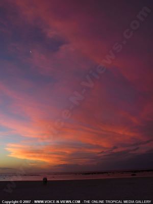 3 star hotel villa caroline hotel sunset
A beautiful view of the sunset from the Caroline Hotel. Walk on the beach and watch as the sun sets and the sky changes colours; blue, purple and grey, and the clouds become pink.
Keywords: 3*Caroline Hotel sunset view, pink, blue, purple, grey, beach, clouds