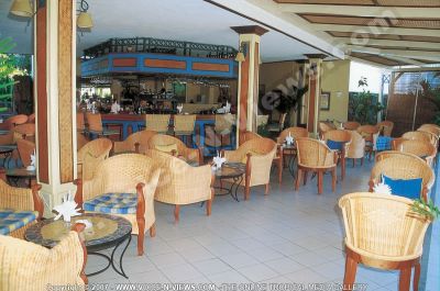 3 star hotel villa caroline hotel the bar
The 3*Caroline Hotel bar. The bar area is decorated in blue and brown, with a few plants here and there.   Drinks are served here at the bar. The guests can enjoy their drinks on the cane furniture around the coffee tables.
Keywords: 3*Caroline hotel, bar, cane chairs, coffee tables, blue, brown, drinks