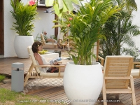 Filename=le_recif_hotel_mauritius_lady_realxing_in_sunbed_at_the_patio.jpg
Filesize=244KiB
Dimensions=800x600
Date added=Feb 25, 2009 le_recif_hotel_mauritius_lady_realxing_in_sunbed_at_the_patio.jpg
