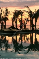 Filename=4_star_hotel_indian_resort_hotel_sunset.jpg
Filesize=155KiB
Dimensions=600x899
Date added=Jun 20, 2007 4_star_hotel_indian_resort_hotel_sunset.jpg