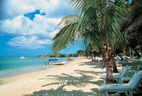 Filename=4_star_la_plantation_resort_beach_view.jpg
Filesize=169KiB
Dimensions=800x543
Date added=Sep 04, 2007 4_star_la_plantation_resort_beach_view.jpg
