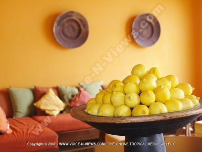 general view of the living room and a bunch of lemons at la palmeraie hotel
