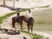 Filename=horse_riding_on_the_beach_of_la_palmeraie_hotel_mauritius.JPG
Filesize=170KiB
Dimensions=800x600
Date added=Sep 14, 2010 horse_riding_on_the_beach_of_la_palmeraie_hotel_mauritius.JPG