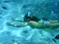 Filename=young_lady_doing_scuba_diving_in_the_blue_lagoon_of_la_palmeraie.jpg
Filesize=166KiB
Dimensions=800x600
Date added=Sep 14, 2010 young_lady_doing_scuba_diving_in_the_blue_lagoon_of_la_palmeraie.jpg
