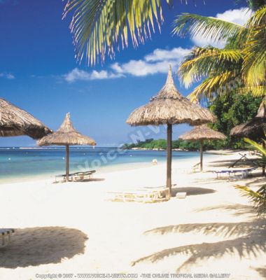 4 star hotel maritim hotel beach view
