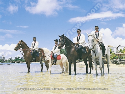 maritim hotel horse riding activities on the beach
