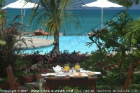 4_star_hotel_ocean_beauty_hotel_pool.JPG
