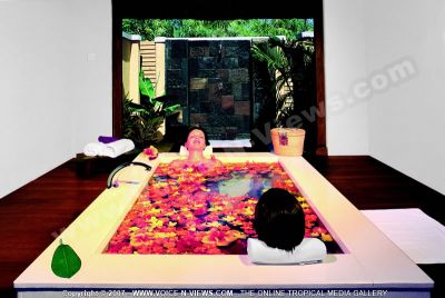 4 star hotel paradise cove hotel view tropical bath flower
