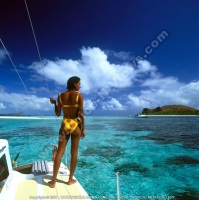 Filename=4_star_hotel_paradise_cove_hotel_catamaran.jpg
Filesize=126KiB
Dimensions=800x804
Date added=Jun 13, 2007 4_star_hotel_paradise_cove_hotel_catamaran.jpg