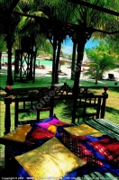 Filename=4_star_hotel_paradise_cove_hotel_garden.jpg
Filesize=250KiB
Dimensions=600x908
Date added=Jun 13, 2007 4_star_hotel_paradise_cove_hotel_garden.jpg