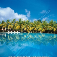 Filename=4_star_hotel_paradise_cove_hotel_pool.jpg
Filesize=169KiB
Dimensions=800x805
Date added=May 30, 2007 4_star_hotel_paradise_cove_hotel_pool.jpg