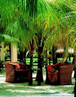 Filename=4_star_hotel_paradise_cove_hotel_seats_in_the_garden.jpg
Filesize=226KiB
Dimensions=600x759
Date added=Jun 13, 2007 4_star_hotel_paradise_cove_hotel_seats_in_the_garden.jpg