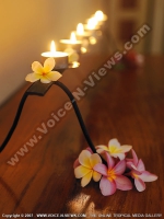Filename=sands_resort_and_spa_mauritius_experience_serenity.jpg
Filesize=88KiB
Dimensions=600x800
Date added=Aug 10, 2010 sands_resort_and_spa_mauritius_experience_serenity.jpg