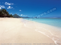 Filename=4_star_hotel_sugar_beach_resort_hotel_beach.jpg
Filesize=80KiB
Dimensions=800x591
Date added=Jun 20, 2007 4_star_hotel_sugar_beach_resort_hotel_beach.jpg