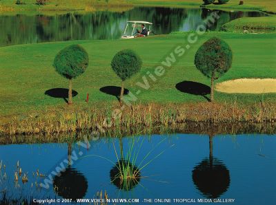 5 star hotel constance belle mare plage golf spot
Through hard work and creativity, Mauritius has succeeded in making a golfing destination for players from around the world.Free green fees for hotel guest, club carts are compulsory,free shuttle rides.The golf ground consist of additional; 9 holes golf course approximately 1 km away.
