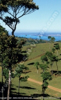 Filename=anahita_resort_mauritius_domaine_de_letoile_aerial_watermark_view.jpg
Filesize=96KiB
Dimensions=371x600
Date added=Jan 15, 2009 anahita_resort_mauritius_domaine_de_letoile_aerial_watermark_view.jpg