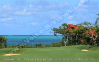 Filename=anahita_resort_mauritius_golf_course_nature_watermark_view.jpg
Filesize=64KiB
Dimensions=600x376
Date added=Jan 15, 2009 anahita_resort_mauritius_golf_course_nature_watermark_view.jpg