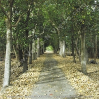 Filename=anahita_resort_mauritius_natural_alley_watermark_view.jpg
Filesize=179KiB
Dimensions=600x600
Date added=Jan 15, 2009 anahita_resort_mauritius_natural_alley_watermark_view.jpg