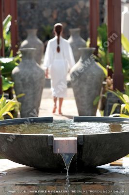 5 star hotel heritage le telfair golf & spa resort surrounding
