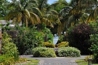 Filename=maradiva_villas_resort_and_spa_hotel_mauritius_pathway.jpg
Filesize=144KiB
Dimensions=600x399
Date added=Mar 17, 2009 maradiva_villas_resort_and_spa_hotel_mauritius_pathway.jpg