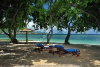 Filename=maradiva_villas_resort_and_spa_hotel_mauritius_sun_bed_and_sea_view.jpg
Filesize=118KiB
Dimensions=600x399
Date added=Mar 17, 2009 maradiva_villas_resort_and_spa_hotel_mauritius_sun_bed_and_sea_view.jpg