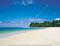 Filename=5_star_hotel_one_and_only_le_saint_geran_hotel_beach_view.jpg
Filesize=61KiB
Dimensions=800x617
Date added=Jun 11, 2007 5_star_hotel_one_and_only_le_saint_geran_hotel_beach_view.jpg