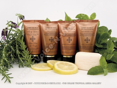 5 star hotel shanti maurice nira spa africology products

